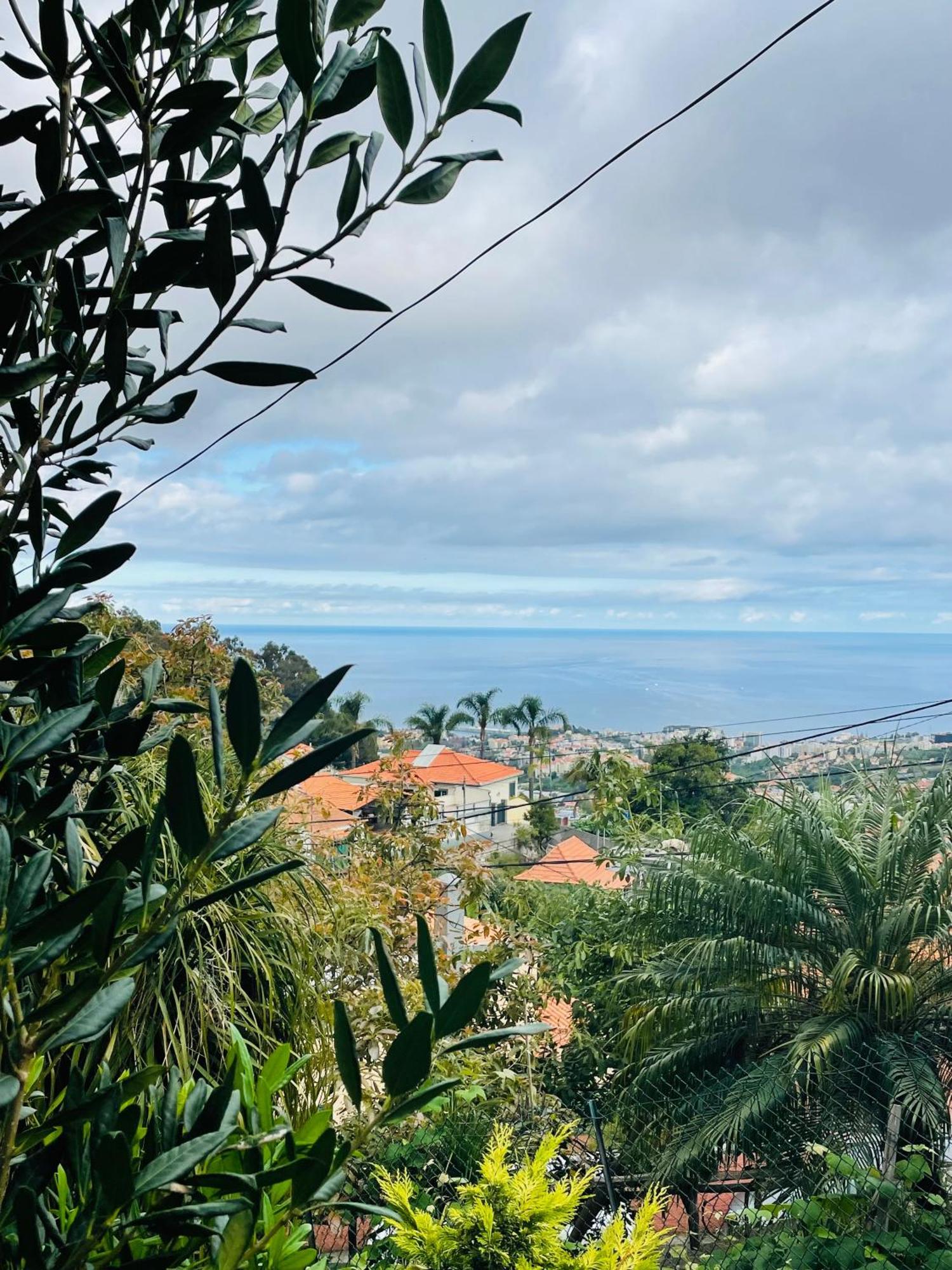 Hotel Cozy House Funchal  Exterior foto