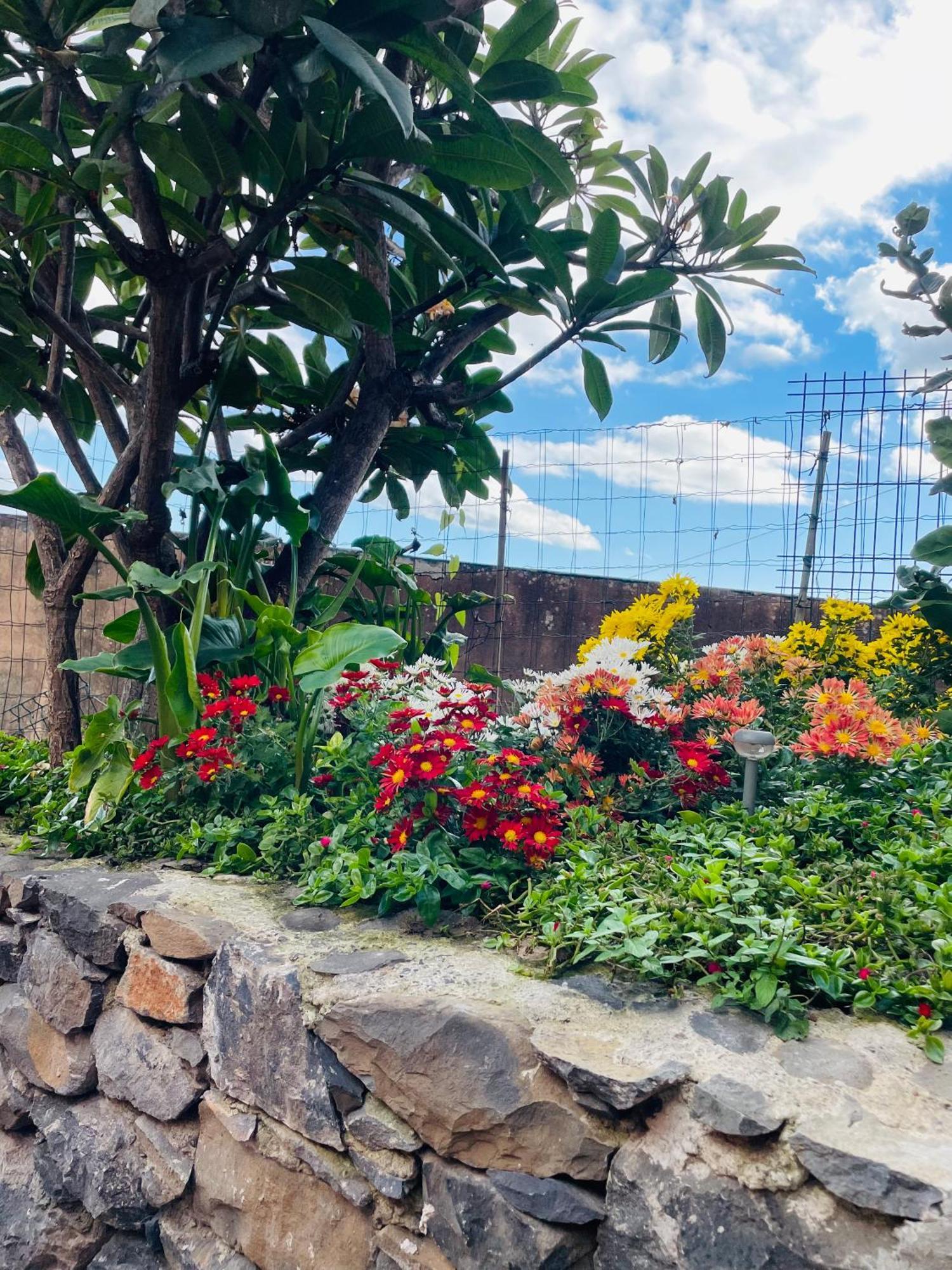 Hotel Cozy House Funchal  Exterior foto